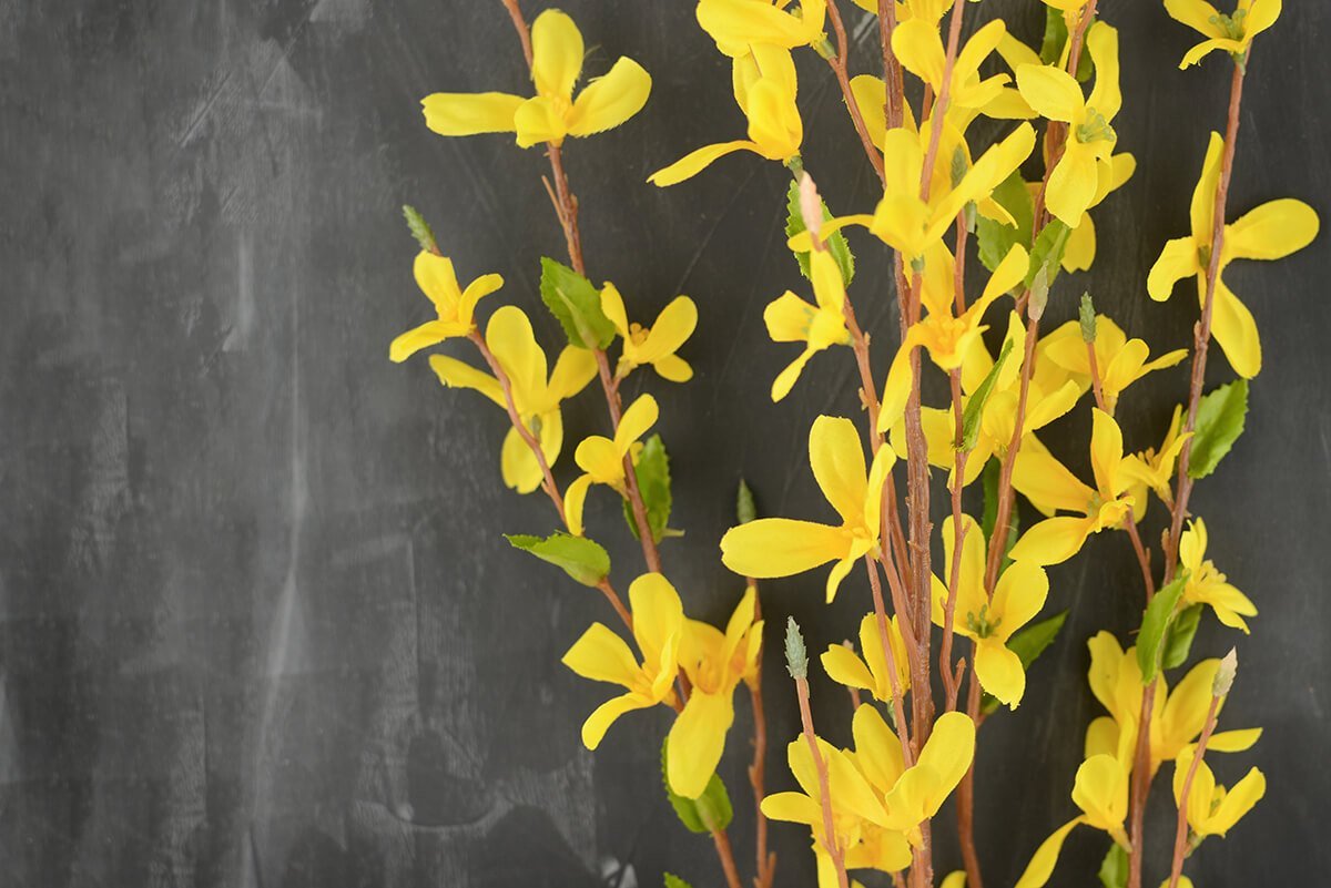 Yellow Forsythia Branch  Faux Blooming Spring Branches at