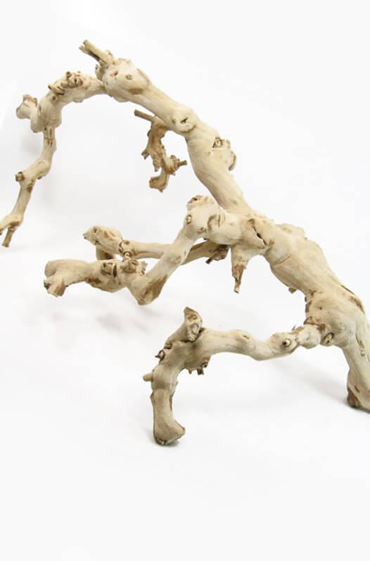 Sandblasted Ghostwood (California Driftwood), 18