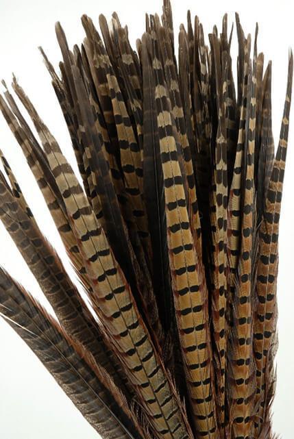 Natural Pheasant Feathers (16-18 inches) - Feathers - Basic Craft