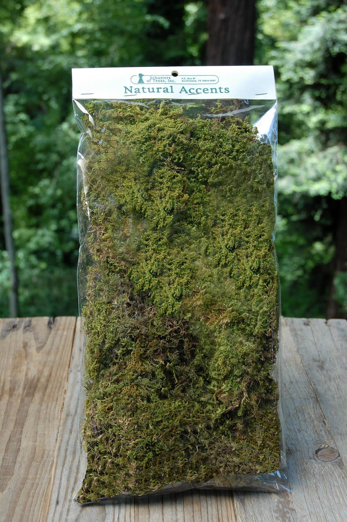 Natural Moss Balls 2 inch (6 Balls)